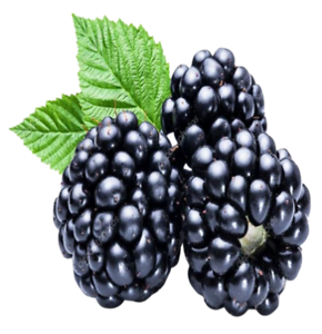 Blackberry (ब्लैकबैरी)                250gm